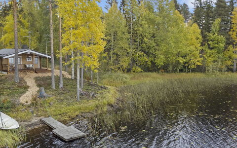 Lahdenpohja, Vaikon Loma 7: Vand, Træ, Krop Af Vand, Naturligt Miljø, Natur, Naturlige Landskab, Bank, Landskab, Skov