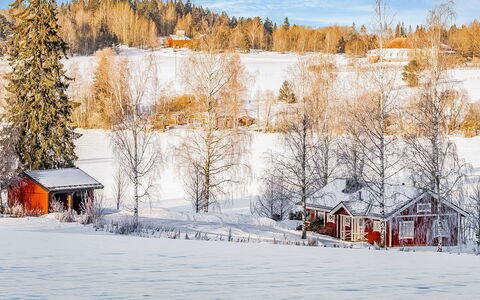 Peltosirkku: Sne, Vinter, Træ, Afdeling, Hus, Sommerhus, Hjem, Landskab, Tag, Kvist