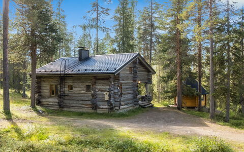 Ukkohermanni: Træ, Træ, Sommerhus, Skov, Bjælkehytte, Woodland, Hytte, Lærk, Bagagerum