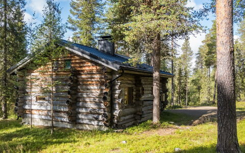 Ukkohermanni: Træ, Træ, Skov, Sommerhus, Skur, Bjælkehytte, Woodland, Bagagerum, Lærk