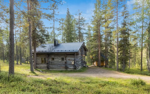 Ukkohermanni: Træ, Træ, Sommerhus, Skov, Hytte, Lærk, Woodland, Bjælkehytte, Bagagerum