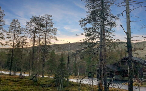 Utsunusko a: Træ, Sne, Vinter, Sommerhus, Fryser, Hjem, Bjælkehytte, Lærk, Sidespor