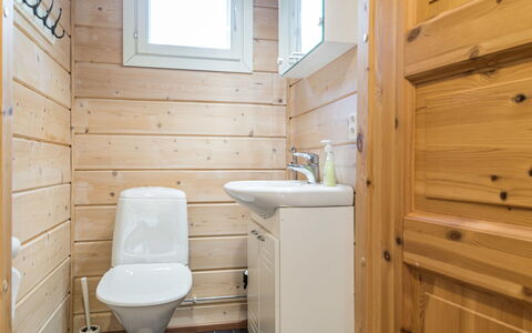 Levin Kaarna: Træ, Sommerhus, Bjælkehytte, Skov, Skur, Garden Bygninger, Lærk, Woodland, Bejdse