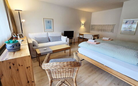 Parkweg 9 102: Indretning, Gulvbelægning, Etage, Loft, Lejlighed, Skygge, Stol, Lysarmatur, Lampe, Stueplante