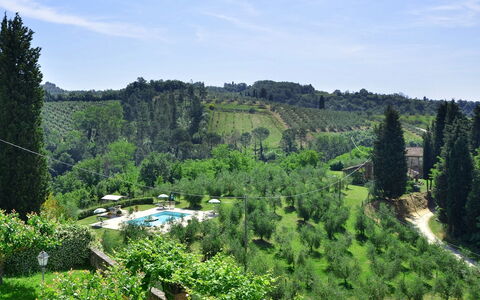 Villa Buonaparte: Vegetationen, Natur, Naturlige Landskab, Hill Station, Naturreservat, Træ, Biome, Ødemark, Botanik, Bjerg