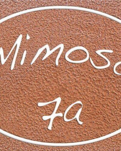 Mimosa