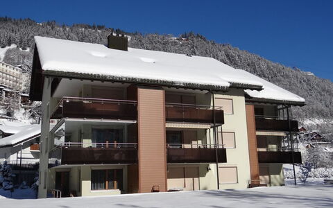Engelberg 787: Vinter, Sne, Fryser, Glacial Landskabsform, Bjerglandsby, Altan, Dagslys, Alps