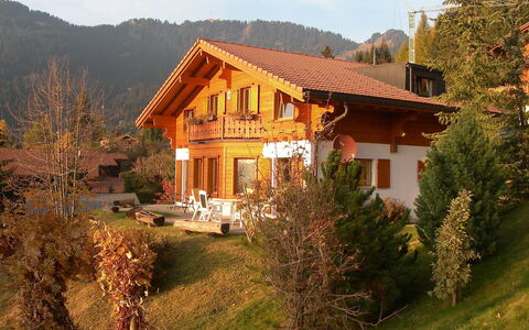Chalet Petit Pont: Hus, Hjem, Ejendom, Bjerglandsby, Naturlige Landskab, Ejendom, Bygning, Estate, Sommerhus, Tag