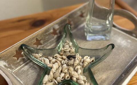 Norddeich 110: Drinkware, Bord, Bordservice, Vand, Træ, Rektangel, Serveware, Ingrediens