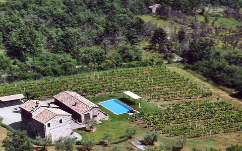Val D'Orcia: Hill Station, Naturlige Landskab, Bjerglandsby, Landdistrikt, Menneskelig Bosættelse, Landskab, Landsby, Hus, Fugleperspektiv, Træ