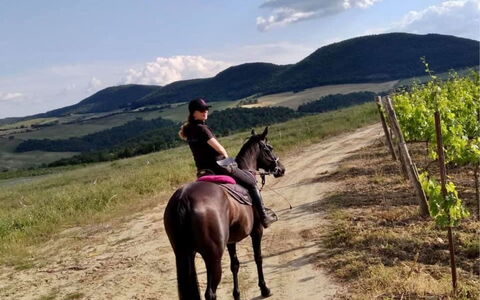 La Casetta nel Bosco: Hest, Himmel, Sky, Plante, Bjerg