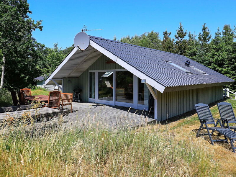 Søndervig Lodbjerg Hede