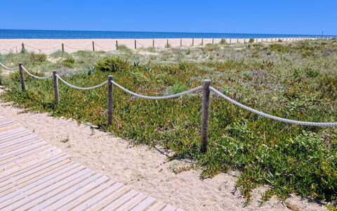 Marenia: Blå, Naturligt Miljø, Horisont, Strand, Sommer, Økoregion, Hav, Kyst, Coastal Og Oceaniske Landskabsformer, Almindeligt