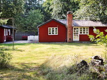 Vig Lyng