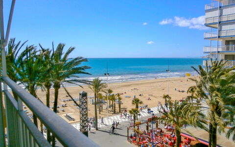 La Goleta: Himmel, Vand, Sky, Plante, Træ, Azure, Strand, Skygge, Bygning, Arecales