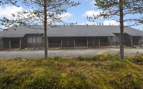 Kotokuusi 4: Træ, Vinter, Sne, Hjem, Sommerhus, Fryser, Sidespor, Bjælkehytte, Is