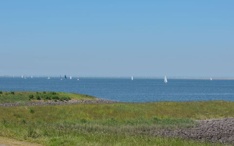 Wemeldinge 200: Vand, Himmel, Plante, Naturlige Landskab, Sø, Coastal Og Oceaniske Landskabsformer, Bank, Strand, Græs, Horisont