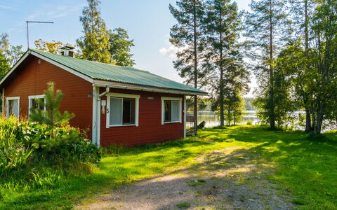 Saniainen 5: Træ, Bank, Hus, Sommerhus, Sø, Dam, Skov, Bjælkehytte