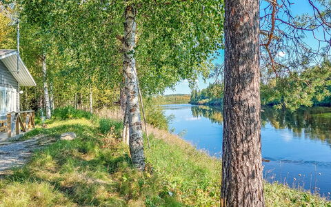 Mukan Maja: Blå, Grøn, Vand, Krop Af Vand, Natur, Træ, Blad, Naturligt Miljø, Afdeling