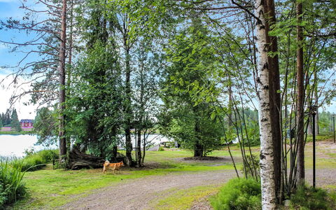 Hamppulahti: Sommerhus, Hus, Hjem, Garden Bygninger, Sidespor, Bjælkehytte, Stuehus, Estate, Skur, Gård