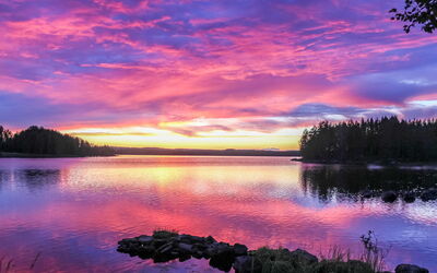 Hamppulahti