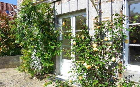 La Gicquelière: Plante, Vindue, Bygning, Blomst, Vegetationen, Hus, Dør, Boligområde, Busk