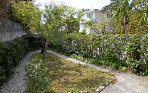 Villa Esmeralda: Vegetationen, Ejendom, Ejendom, Træ, Botanik, Have, Boligområde, Hus, Busk, Plante