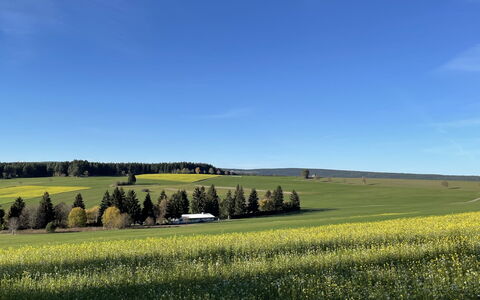 Langes Leben al Khalid: Himmel, Vand, Sky, Strand, Paraply, Udendørs Møbler, Skygge, Coastal Og Oceaniske Landskabsformer