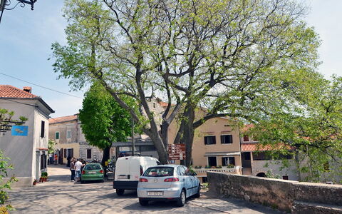 Kristijan: Boligområde, Træ, Kvarter, Ejendom, Stad, Vedplante, Transportere, Plante, Forstad, Køretøj