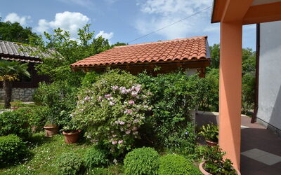 Franjo