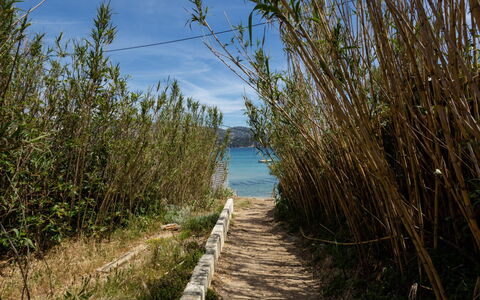 Le Lavandou 135: Himmel, Vand, Plante, Plantesamfund, Sky, Økoregion, Naturlige Landskab, Træ, Coastal Og Oceaniske Landskabsformer, Bank