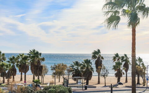 Cap Hermes: Træ, Palme Træ, Arecales, Vedplante, Himmel, Plante, Hav, Ferie, Strand, Kyst