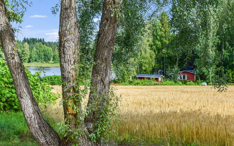 Petäjäniemi: Sommerhus, Hus, Hjem, Garden Bygninger, Sidespor, Bjælkehytte, Stuehus, Estate, Skur, Gård