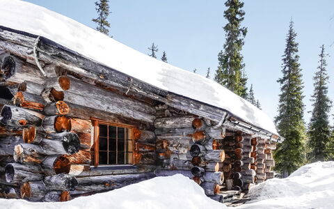 Luostonseita 3: Sommerhus, Hus, Hjem, Garden Bygninger, Sidespor, Bjælkehytte, Stuehus, Estate, Skur, Gård