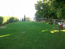 Lawn in common