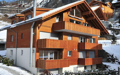 Wengen 22