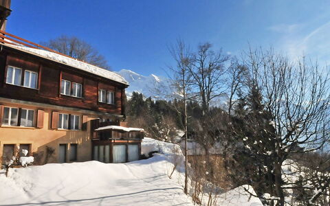 Schweizerhof Apt. S: Sne, Vinter, Himmel, Ejendom, Hjem, Hus, Træ, Stad, Ejendom, Bygning