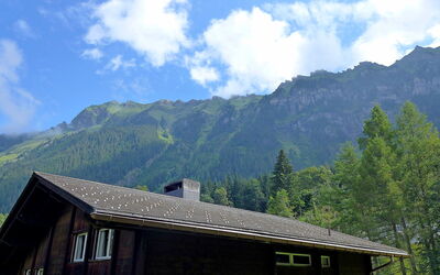 Zur Linde Apt.w
