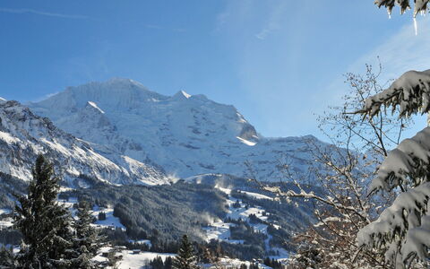 Wengen 602: Himmel, Sne, Bjerg, Sky, Hældning, Naturlige Landskab, Plante, Terræn, Træ, Fryser
