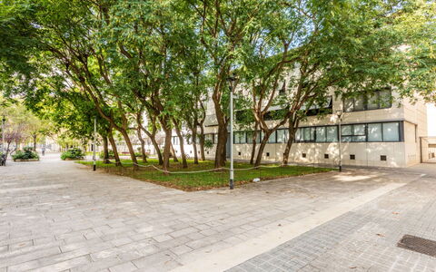Vila Olimpica Pamplona: Træ, Afdeling, Offentlige Rum, Skygge, Vedplante, Fortov, Walkway