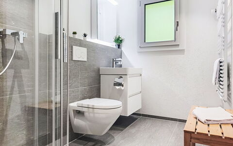 Bergkristall Apt. P: Indretning, Badeværelse, Gulvbelægning, Sanitærarmatur, Toilet, Etage, Håndvask, Toiletbræt, Vvs, Tap