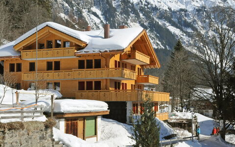 Bergfrieden Apt. 2: Sne, Bygning, Vindue, Bjerg, Plante, Hus, Træ, Hældning, Fryser, Biome