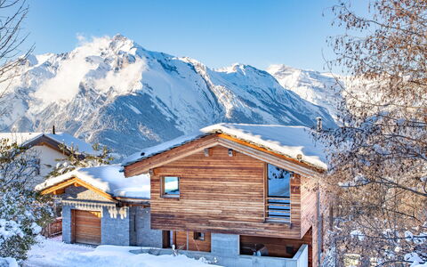 Nendaz 654: Himmel, Sne, Bjerg, Ejendom, Bygning, Naturlige Landskab, Hus, Hældning, Vindue, Træ