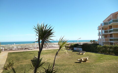 Le Barcarès 480: Himmel, Ejendom, Daytime, Træ, Strand, Palme Træ, Ferie, Hav, Ocean, Ejendom