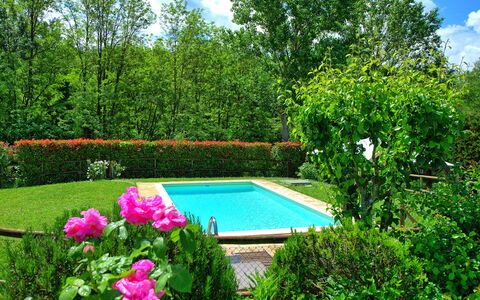 Casa Ovile: Vand, Plante, Sky, Blomst, Himmel, Natur, Botanik, Naturlige Landskab, Træ, Svømmepøl