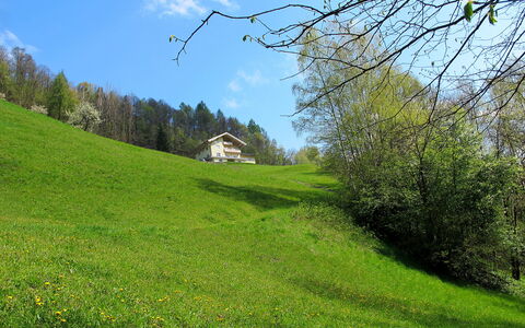 Goldegg 300: Himmel, Plante, Sky, Naturlige Landskab, Hældning, Vegetationen, Sollys, Træ, Land Lot