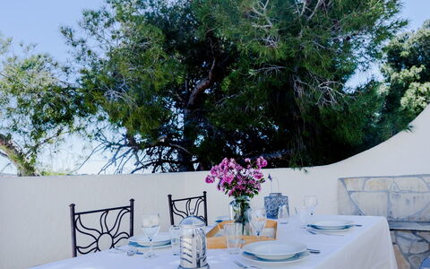La Yaya: Bord, Restaurant, Træ, Dug, Afdeling, Omdrejningspunktet, Bryllupsreception, Blomst, Møbel, Backyard