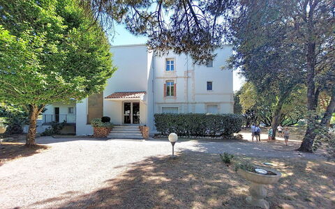 Le Platin: Træ, Afdeling, Hjem, Estate, Have, Gård, Landscaping, Indkørsel, Villa, Mansion