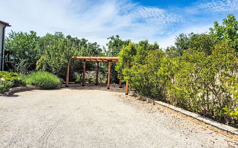 Histria 1: Busk, Have, Sollys, Sti, Skygge, Landscaping, Walkway, Indkørsel, Botanisk Have, Sti