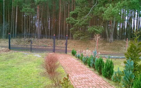 Smołdziński Las: Træ, Naturlige Landskab, Naturreservat, Naturligt Miljø, Græs, Walkway, Græsfamilien, Woodland, Biome, Botanik